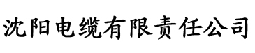 久久亚洲AV成人无码电缆厂logo